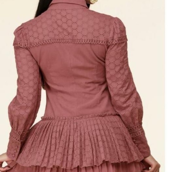 L'ATISTE LONG SLEEVE BUTTON UP COLLAR RUFFLE TIERED MINI DRESS SIZE 1X - Picture 3 of 13